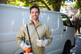 Best Termite Inspection and Treatment  in Pineland, TX